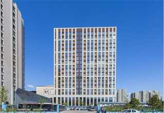 进口黑金沙销售厂家